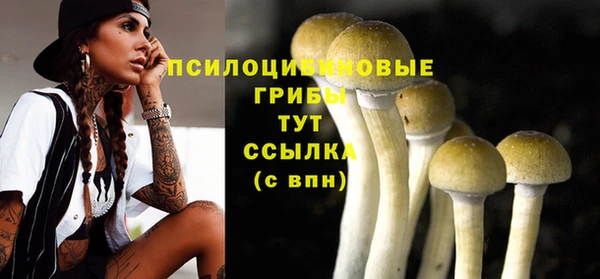 герыч Новозыбков