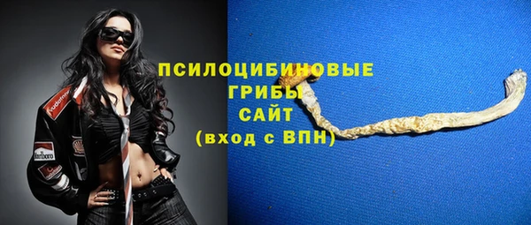 твердый Новодвинск