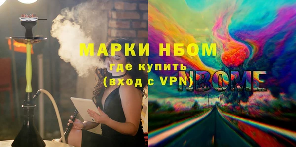 твердый Новодвинск