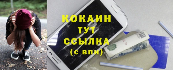 твердый Новодвинск