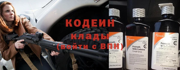 твердый Новодвинск
