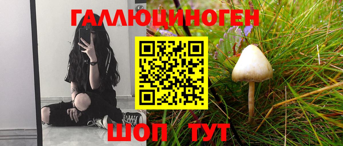 Псилоцибиновые грибы Psilocybine cubensis  Вход с VPN  Ялуторовск 