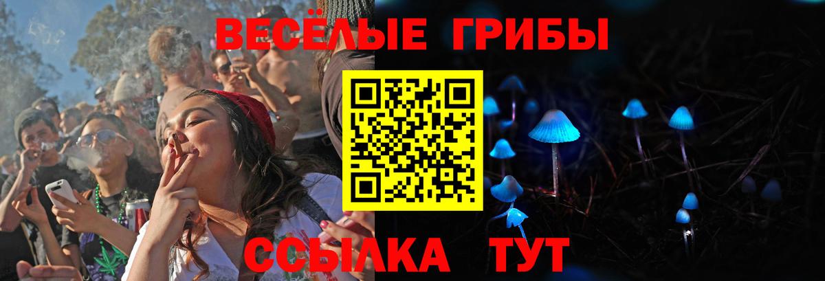 Галлюциногенные грибы мицелий Ялуторовск